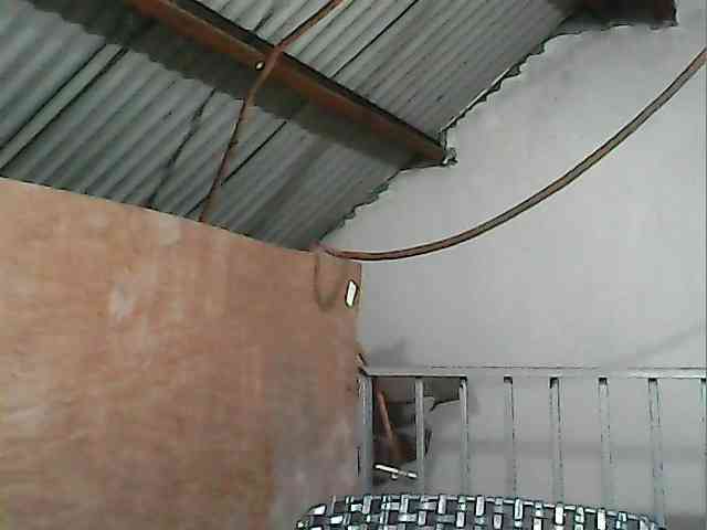Alicepussylicious webcam