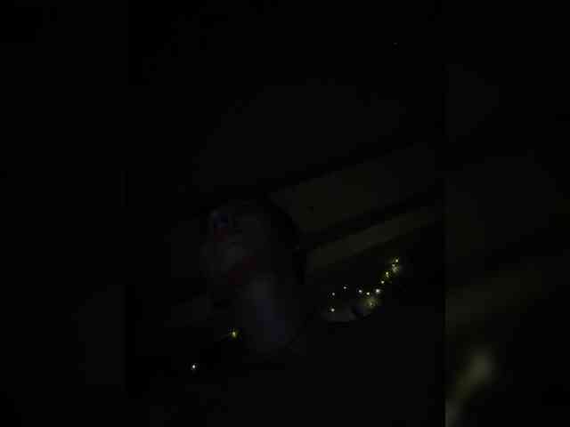 PsiXeya webcam