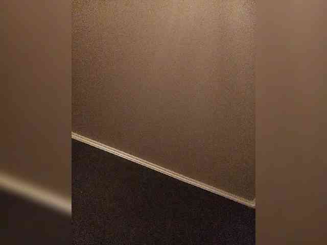 leylasama's live room