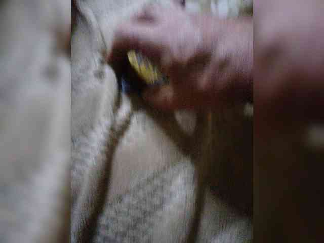 Oksy3 webcam