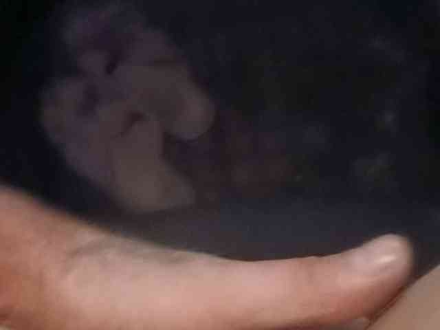 Oksy3 webcam