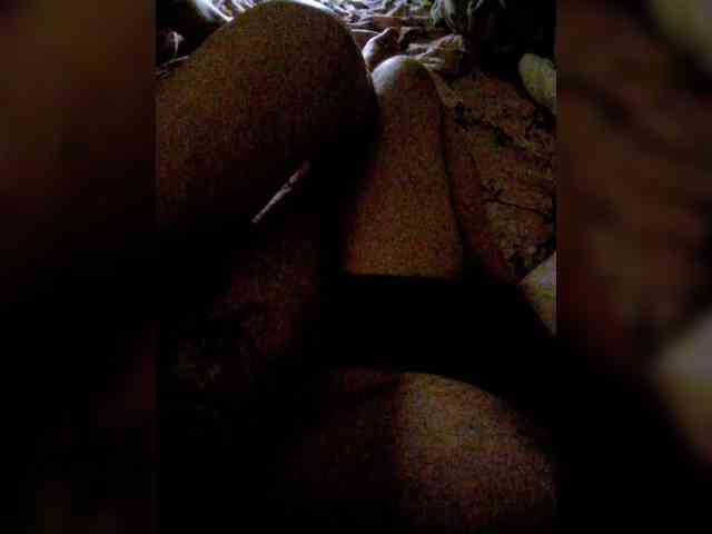 Oksy3 webcam
