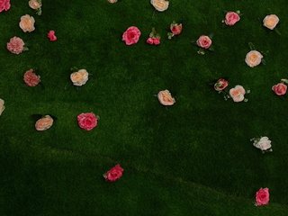 HugeTittiess Porn Show