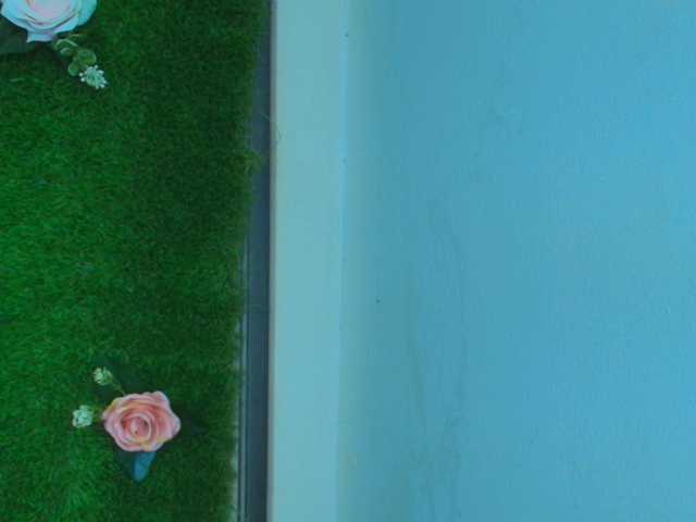 HugeTittiess live cam on BongaCams