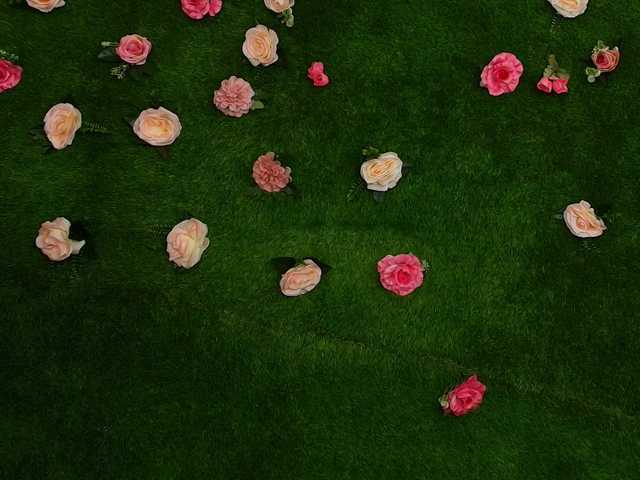 HugeTittiess's BongaCams show and profile