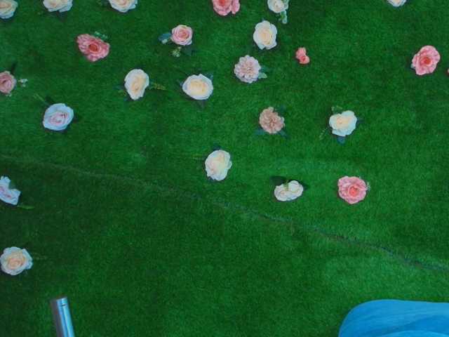 HugeTittiess