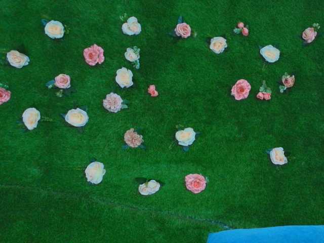 HugeTittiess live cam preview