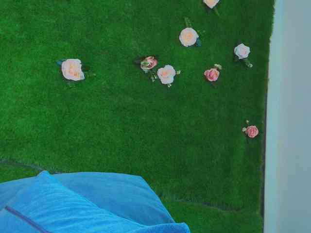HugeTittiess webcam