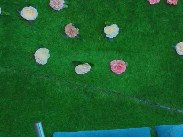 HugeTittiess webcam