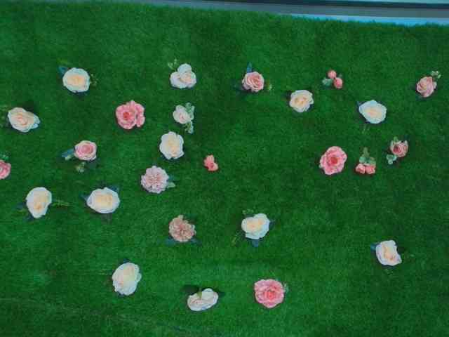 HugeTittiess webcam