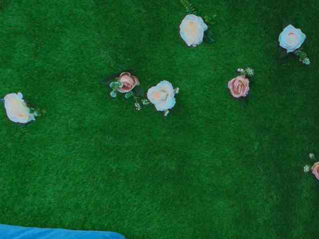 HugeTittiess webcam