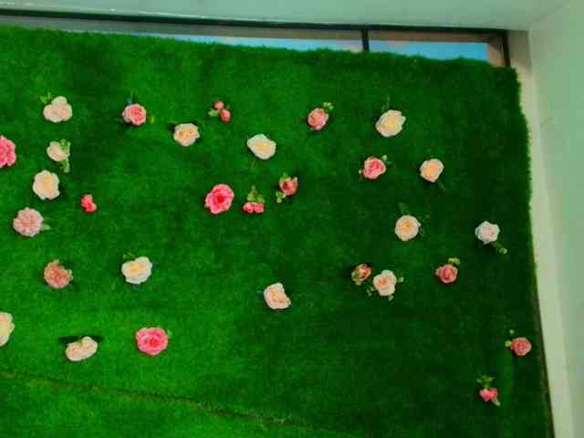 HugeTittiess webcam
