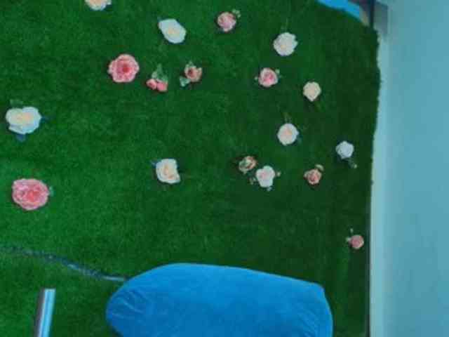 HugeTittiess webcam
