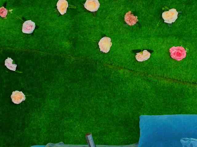 HugeTittiess webcam