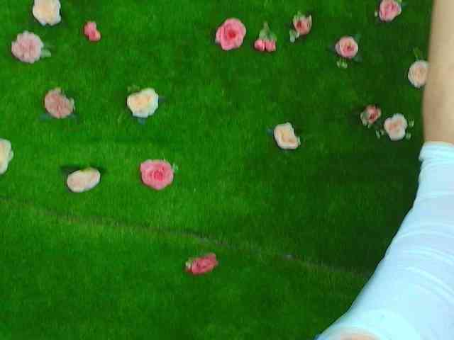HugeTittiess webcam
