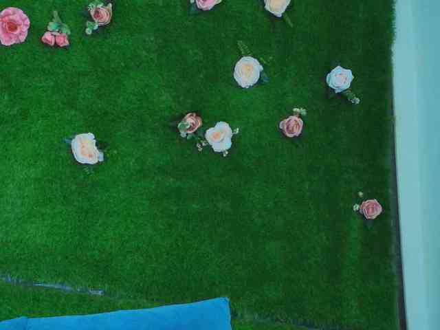 HugeTittiess webcam