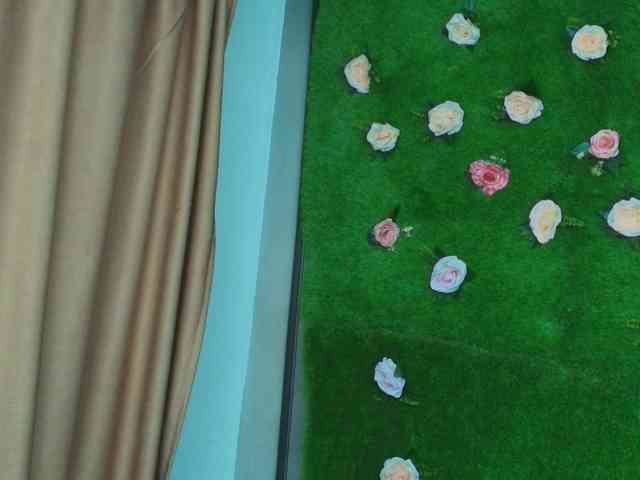 HugeTittiess webcam