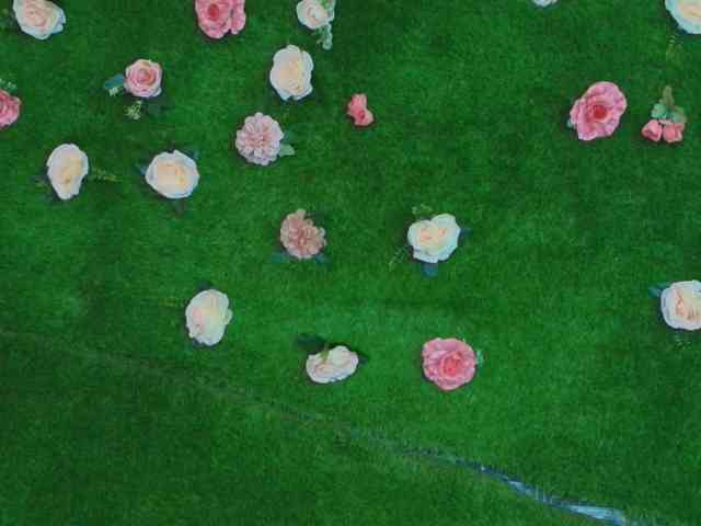 HugeTittiess webcam