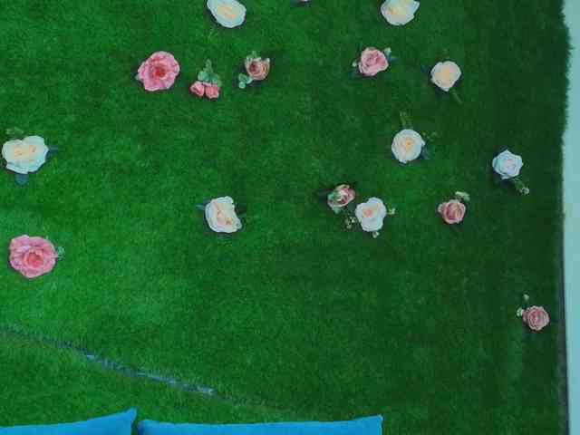 HugeTittiess webcam