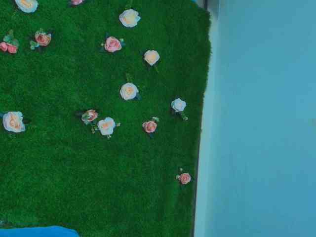 HugeTittiess webcam