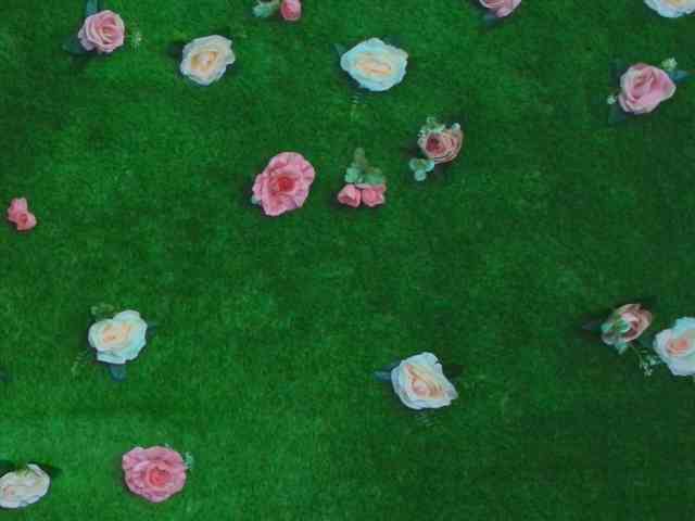 HugeTittiess webcam