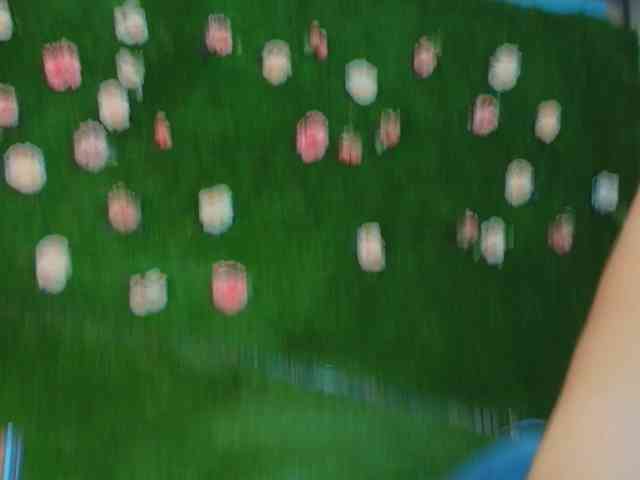 HugeTittiess webcam