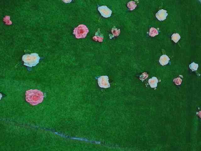 HugeTittiess webcam