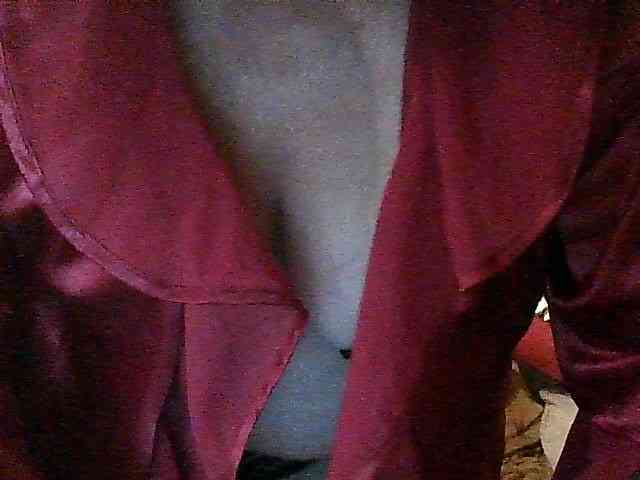 Laurador webcam