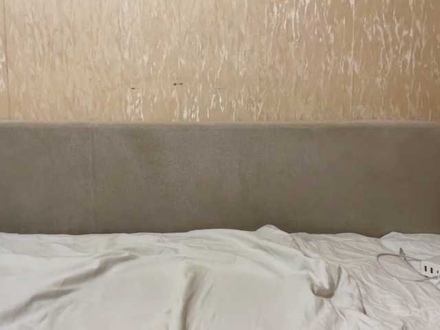 72000usd's BongaCams show and profile