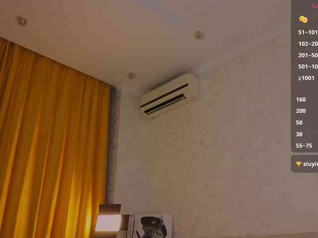 RenaWong webcam