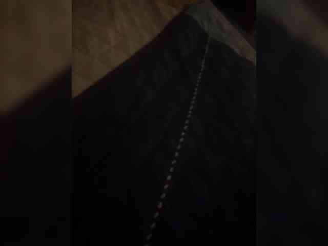 Maks04051 webcam