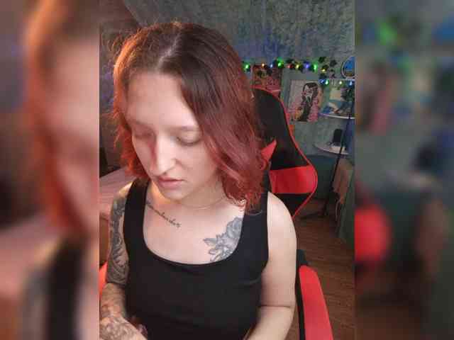 NovaLia webcam