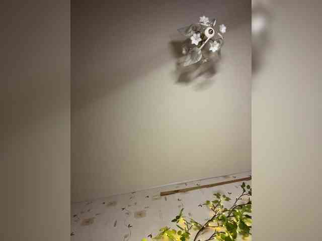 The-best-babies webcam