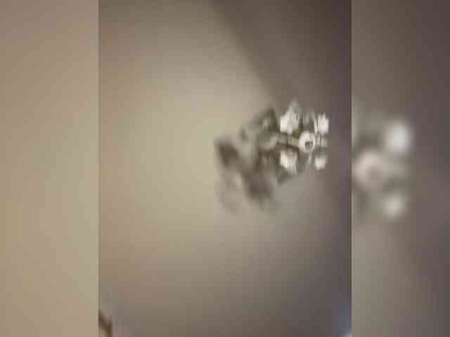 The-best-babies webcam