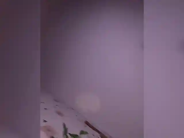 BellaAndAlice