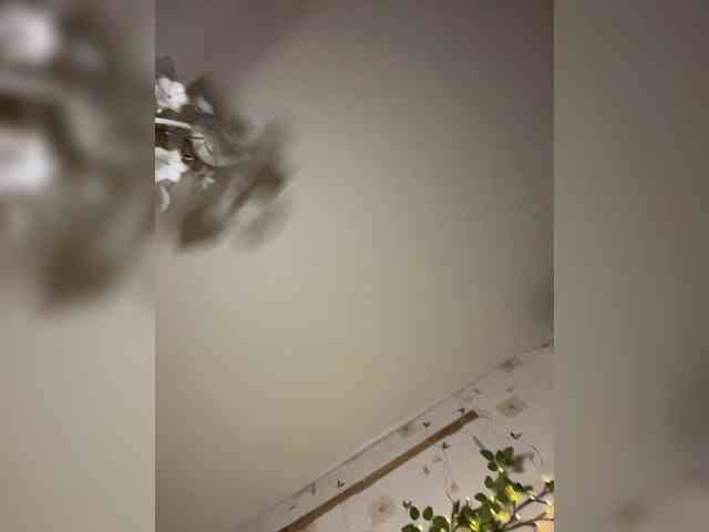 The-best-babies webcam