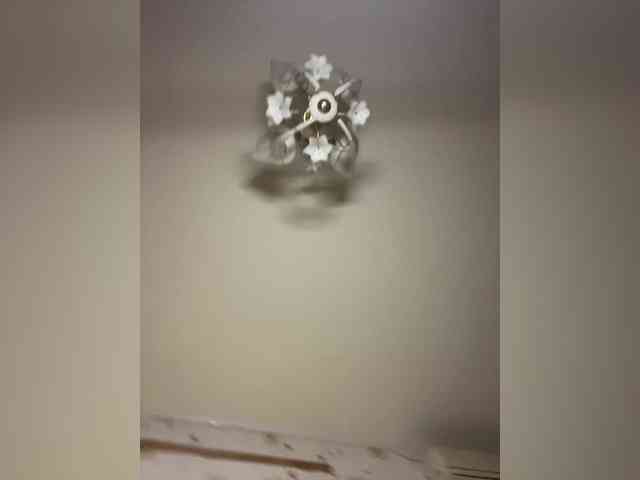 The-best-babies webcam