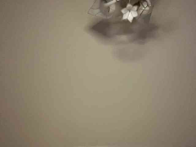 The-best-babies webcam