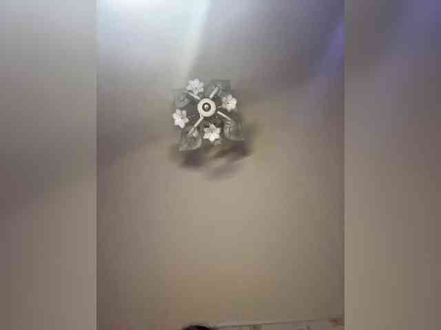 The-best-babies webcam