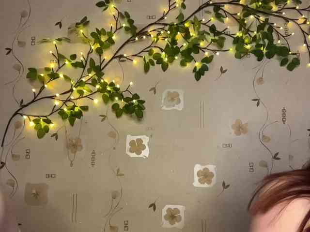 The-best-babies webcam