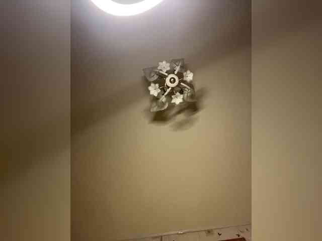 The-best-babies webcam