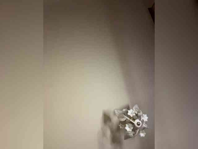 The-best-babies webcam