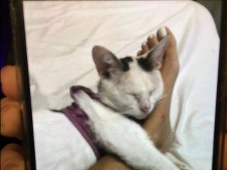 OhMyKosh Porn Show