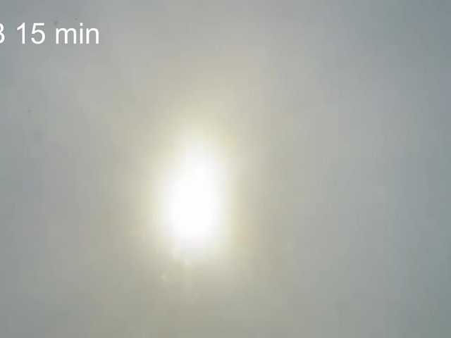 AlikBlack live cam
