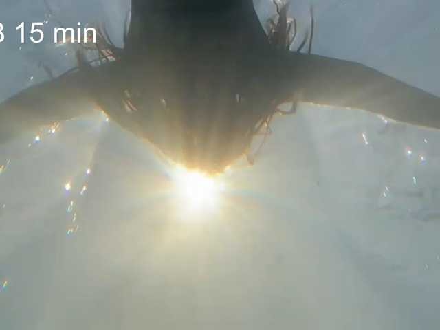 AlikBlack live cam on BongaCams