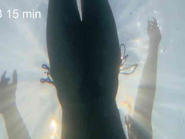 OhMyKosh webcam