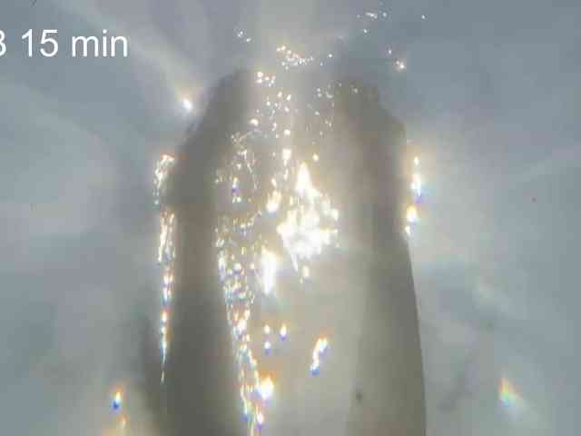 OhMyKosh webcam