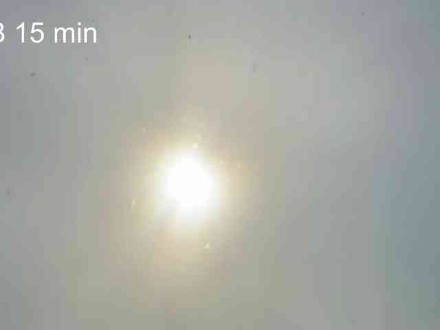 OhMyKosh webcam