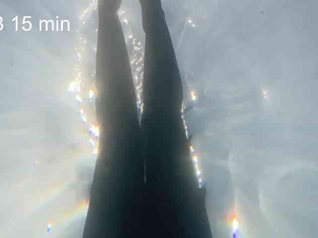 OhMyKosh webcam