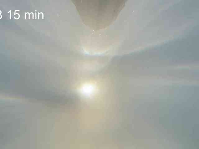 OhMyKosh webcam